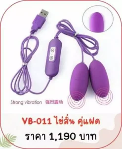 ไข่สั่น VB-011 sextoy vibrator