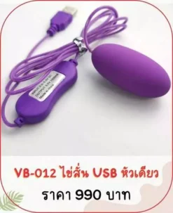 vibrator ไข่สั่น VB-012