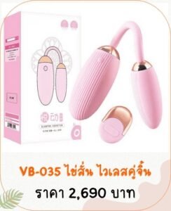 ไข่สั่น VB-035 vibrator